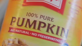 What's really in that can of pumpkin?