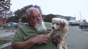 Man reunited with dog after 11 years apart