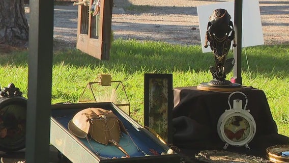 Charley's World | Wicked Wilds at McIntosh Preserve