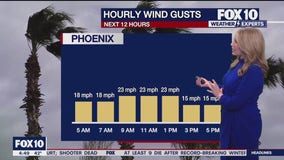 Morning Weather Forecast - 1/23/25