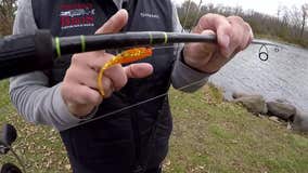 Catch crappies now: Late fall fishing tips