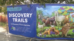 Detroit Zoo announces new Discovery Trails immersive experience