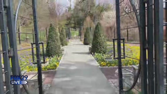 FOX 29 Live: Morris Arboretum