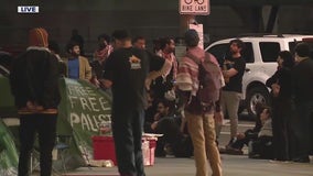 Pro-Palestine encampment forms at LA City Hall