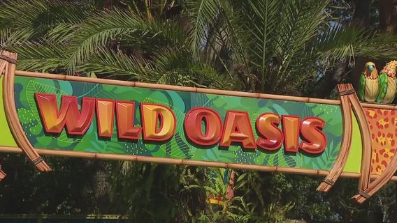 Busch Gardens Tampa Bay opens its new family-friendly park Wild Oasis