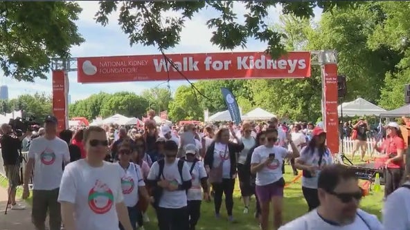 Thousands gather for 25th annual Walk for Kidneys, raising over $264K