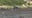 Texas floods: Debris found in Lake Travis