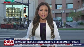 Investigators reveal Kohberger panicked in real time after learning of suspect vehicle