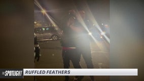 The Spotlight: Ruffled feathers over chicken dinner