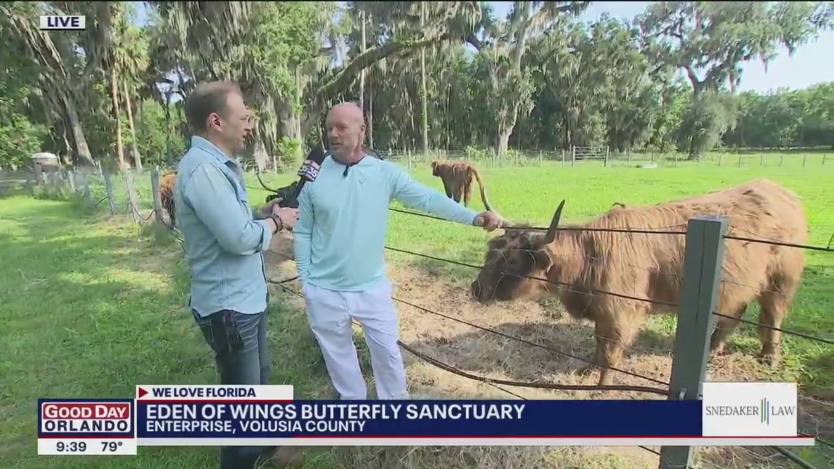 Eden of Wings Butterfly Sanctuary in Enterprise