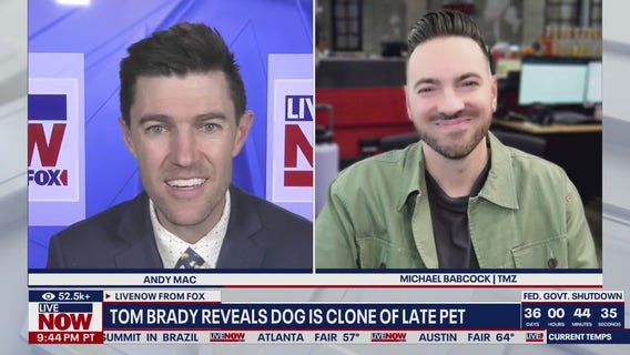 Tom Brady says family dog is clone of one that died