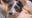 160+ dogs rescued from horrible conditions in Colorado