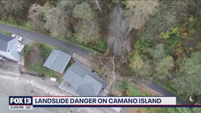 Slide causes trees to fall on Camano Island