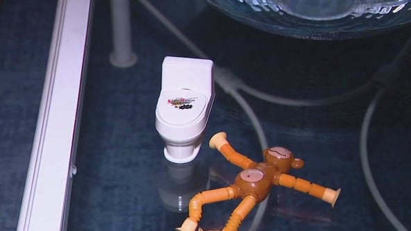Family outraged after girl receives monkey, toilet with fake poop as prize gift from school