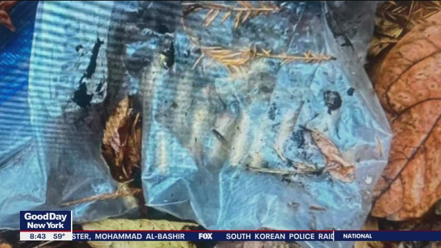 Bag of bullets found in Central Park not tied to CEO killing: sources