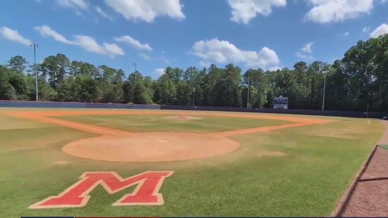 Youth baseball umpire say coach punched him