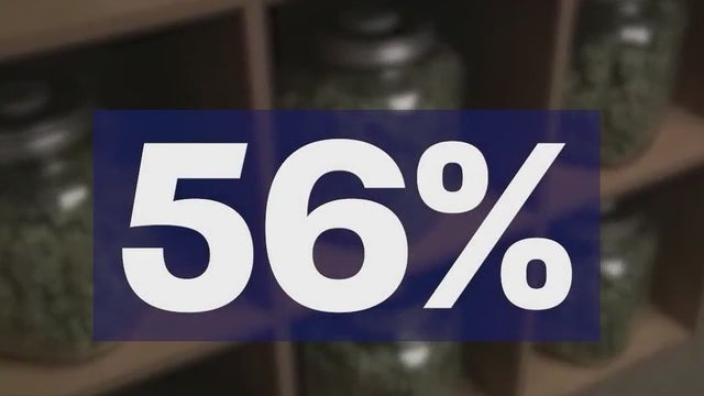 Florida Amendment 3: Recreational marijuana backers reflect on election loss