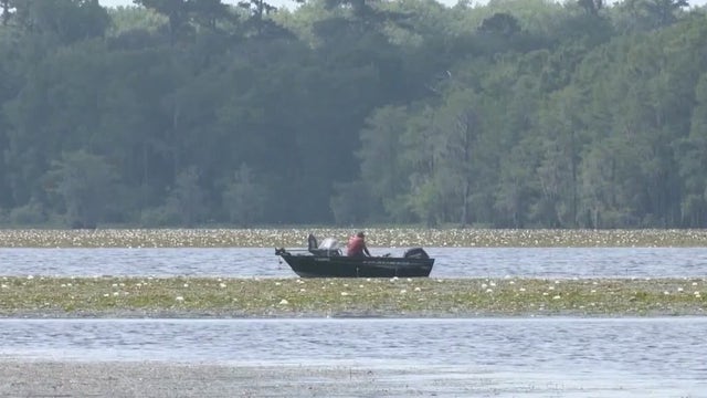 Florida's Amendment 2 could establish hunting, fishing as public right