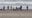 Man dies after trying to rescue dog at Ocean Beach