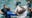 Clearwater Marine Aquarium rescues rare dolphins