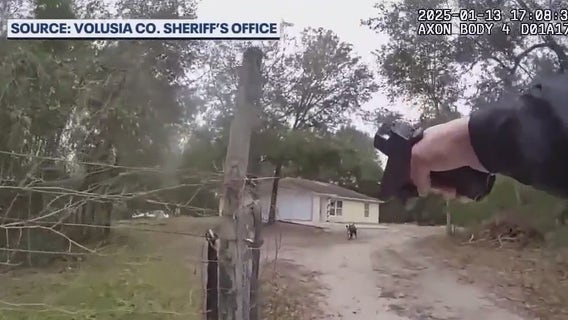 Florida 'dangerous dog' bill: Parents of boy mauled to death by dogs optimistic bill will become law