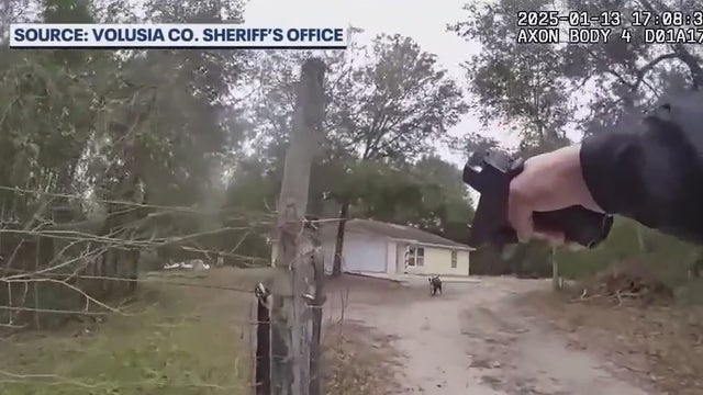 Florida 'dangerous dog' bill: Parents of boy mauled to death by dogs optimistic bill will become law