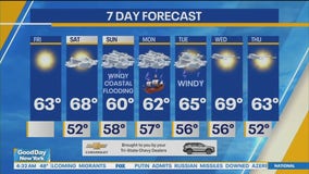 NYC weather forecast