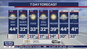 NYC weather forecast