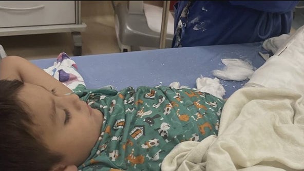 Family of San Mateo tree collapse victims ask for community's help