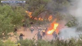 Latest on wildfires burning in Arizona | July 14