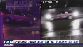 Suspects sought in Halloween hit-and-run crash