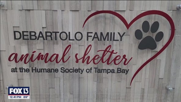 Humane Society of Tampa Bay prepares for Hurricane Helene