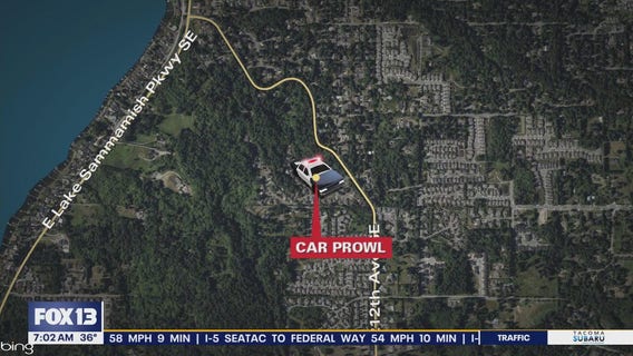 Car prowler shoots at deputies in WA