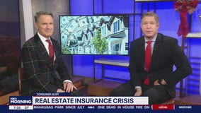 Real estate insurance crisis