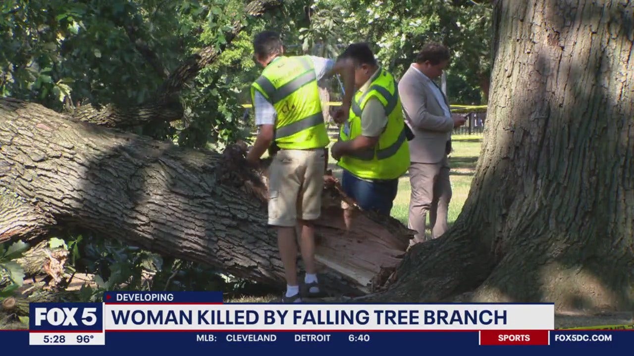 Woman killed by falling tree branch in DC park FOX 5 DC
