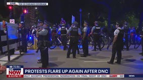 Protestors clash with police outside the DNC