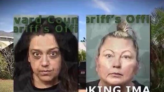 Gun, drugs and alcohol found at high school party