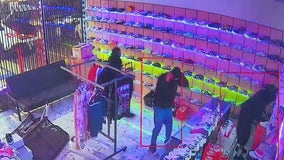 Burglary crew caught on camera at South LA store