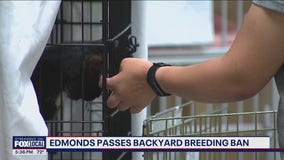 Edmonds passes backyard breeding ban