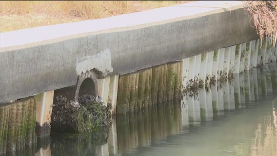 Living seawall created healthy habitat