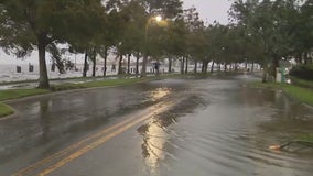 Flooding, fallen tree limbs along Lake Monroe