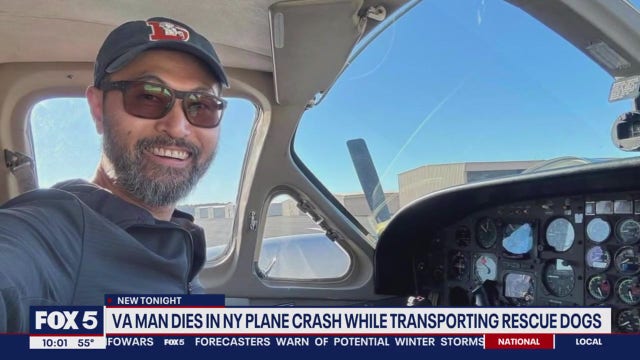 Virginia father dies in New York plane crash while transporting rescue dogs