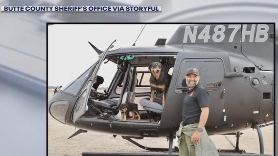 Puppies rescued from California's Park Fire by rescuer who ran nearly 2 miles