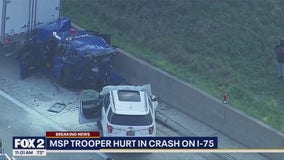 MSP trooper hospitalized after being hit during traffic stop