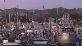 No crabs for holidays, Bay Area's dungeness crab season delayed once again