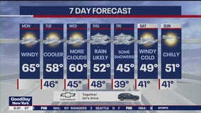 NYC weather forecast