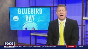 "Bluebird Day" author joins Fox 5 DC