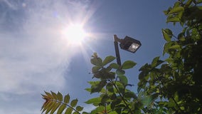 Tips to protect yourself from scorching heat in Southeast Michigan