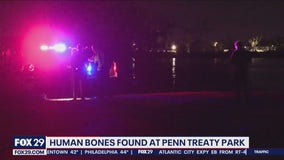 Human bones found at Penn Treaty Park in Fishtown