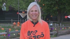 Racine Zoo hosting 'Boo at the Zoo'